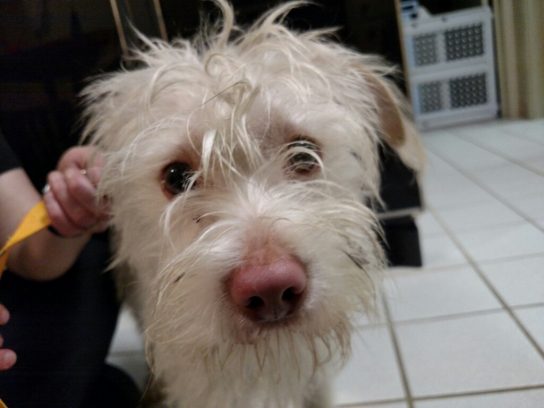 Look at that face!