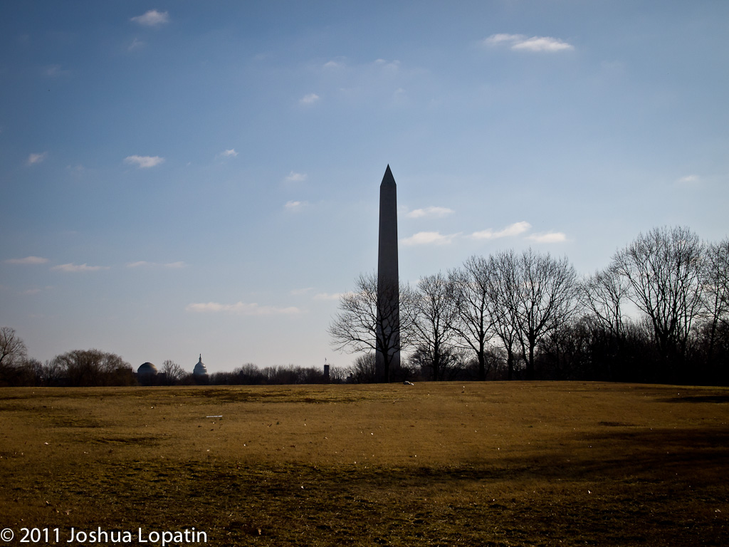 New Gallery- Washington D.C.